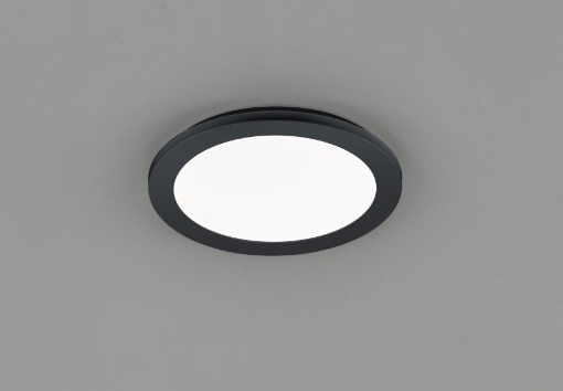 Immagine di Piccola Plafoniera Rotonda Nera Camillus Led Switch Dimmer IP44 Trio Lighting