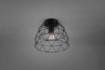 Immagine di Plafoniera Haval Gabbia 1xE27 Nero Opaco Ø27 cm Trio Lighting
