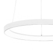 Immagine di Lampadario Led Anello 58cm Krizia Gea Luce Dimmerabile 3000k