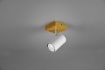 Immagine di Applique Marley Base Legno Con Faretto Orientabile Bianco Trio