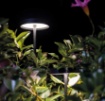 Immagine di Paletto Da Giarcino Led Pistillo Marrone H41 cm Decòrative
