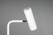 Immagine di Piantana Moderna Sottile Con Faretto Orientabile Bianco Marley Trio Lighting