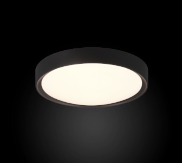 Immagine di Plafoniera Rotonda Clarimo Led Nero IP44 Ø33 cm Trio Lighting