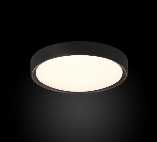 Immagine di Plafoniera Rotonda Clarimo Led Nero IP44 Ø33 cm Trio Lighting