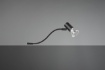 Immagine di Lampada Spot Specchio Giada Orientabile Nero IP44 Trio Lighting