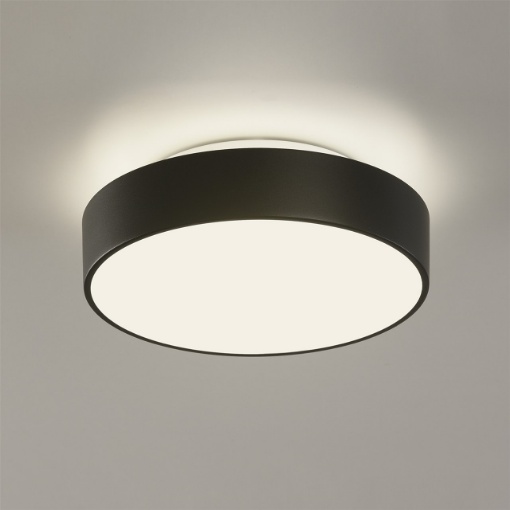 Immagine di Plafoniera Dins Bordo Nero Paralume Vetro 2xE27 Ø26 cm IP44 ACB