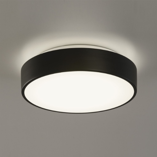 Immagine di Plafoniera Rotonda Nera Per Bagno Vetro Bianco 32cm Dins 2xE27 IP44 ACB