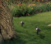 Immagine di Faretto Orientabile Da Giardino Antracite Con Picchetto Seiren IP65 ACB