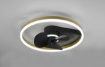 Immagine di Ventilatore Rotondo Nero Led Dimmer 2700k - 6500k Molteplici Funzioni Borgholm Trio Lighting