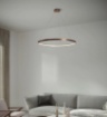 Immagine di Lampadario Rotondo Cerchio Rame 78cm Led 50w 3000k Anello Sforzin
