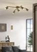 Immagine di Applique Cilindro Ottone Marley Doppia Luce Trio Lighting