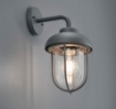 Immagine di Applique Esterni Duero Antracite Vintage Con Vetro Trio Lighting IP44