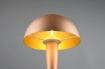 Immagine di Lumetto Color Caffè Design Moderno Touch On/Off Canaria Trio Lighting 