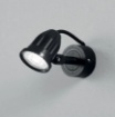 Immagine di Proiettore Led Parete Soffitto Prato Con Picchetto IP65 Peg Intec Light