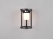 Immagine di Applique Alluminio Nero Carmo per Esterno Led con Sensore IP54 Trio Lighting 