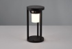 Immagine di Lampioncino da Giardino Alluminio Nero Carmo Led con Sensore IP54 Trio Lighting