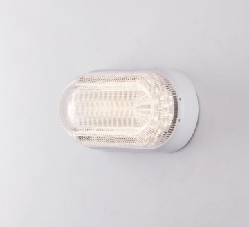Immagine di Lampada Ovale Soffitto Parete Esterno Led CCT 20w IP65 Ischia Intec Light