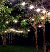 Immagine di Catena Luminosa Per Giardino 10 Luci E14 Nero 5 Metri IP44 Picnic Intec Light
