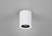 Immagine di Plafone Cilindro Spot GU10 Orientabile Cookie Bianco e Nero Trio Lighting