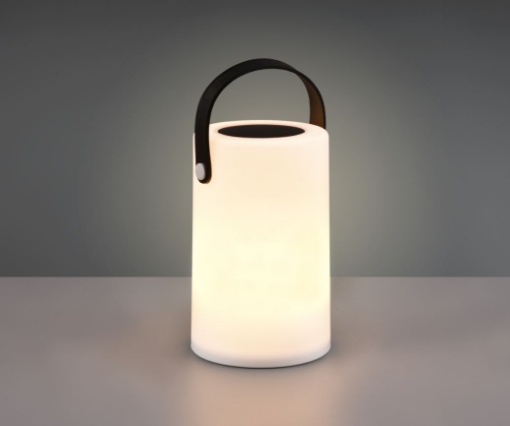 Immagine di Lampada da Appoggio per Giardino Garcia Led Rgbw Cambio Colore Ø13 cm IP44 Trio Lighting