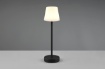Immagine di Lumetto Nero Locali Estivi Led CCT Touch H29 cm Martinez Trio Lighting 