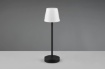 Immagine di Lumetto Nero Locali Estivi Led CCT Touch H29 cm Martinez Trio Lighting 