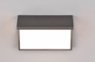 Immagine di Applique Led per Esterno IP54 Alluminio Antracite Sensore Movimento Nestos Trio Lighting