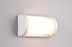 Immagine di Applique Rettangolare Alluminio Bianco 1xE27 Puelo per Esterno IP44 Trio Lighting
