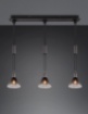 Immagine di Sospensione Nera 3 Paralumi Coppe Vetro Fumé Sali e Scendi Stanley Trio Lighting  