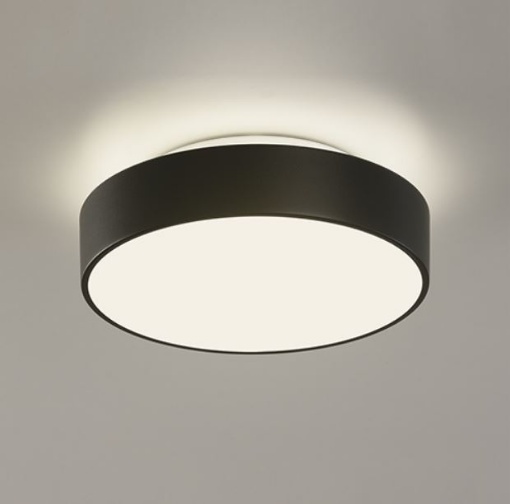 Immagine di Piccola Plafoniera Led Tonda Nera Dins 16 cm IP44 10w CCT ACB