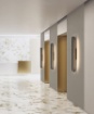 Immagine di Applique Oro Rettangolo Stondato Gala Doppia Emissione Led 20w CCT ACB
