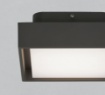 Immagine di Plafoniera Led Quadrata Per Esterni IP65 Nexus Antracite Luce Calda ACB
