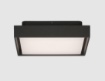 Immagine di Plafoniera Quadrata Esterno IP65 Nexus Antracite Led 14w CCT ACB