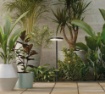 Immagine di Lampione Led da Giardino con Picchetto Shedir Antracite IP65 ACB