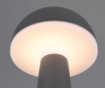 Immagine di Lumetto Fungo Antracite Led CCT USB + Ricarica a Induzione IP54 Trio Lighting