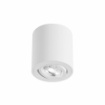 Immagine di Faretto Cilindro Da Soffitto Orientabile Bianco Led GU10 One Beneito