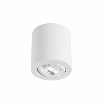 Immagine di Faretto Cilindro Da Soffitto Orientabile Bianco Led GU10 One Beneito