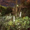 Immagine di Paletto Da Giardino 24v Con Picchetto Fiaccola Led 3000K IP65 Wax Intec