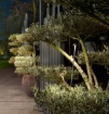 Immagine di Lampioncino Fungo Luce Decorativa Da Giardino Led DC24V 3000K IP65 Puck Intec