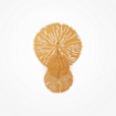Immagine di Lampada Da Parete Decorativa Metallo Traforato Oro Lovetann Maytoni