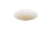 Immagine di Lampada Da Parete Soffitto Con Decoro Concentrico Jelly 50cm Top Light