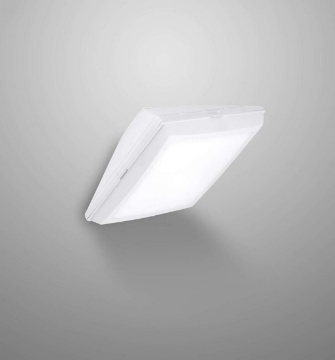 Immagine di Applique Plafoniera Da Esterno Bianca IP66 2 Luci E27 Siena Top Light
