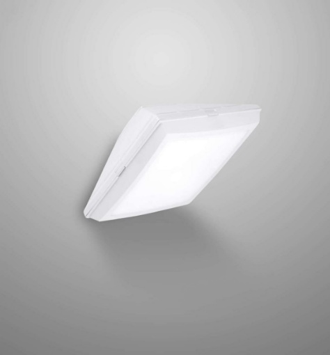 Immagine di Applique Plafoniera Da Esterno Bianca IP66 2 Luci E27 Siena Top Light