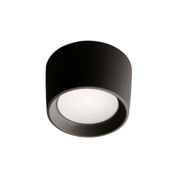 Immagine di Faretto Esterni Nero Da Soffitto 16cm Led Gx53 IP55 Pisa Top Light