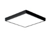 Immagine di Plafoniera Bagno IP44 Domo Nero Led 24w 4000k Intec Light