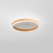 Immagine di Plafoniera Aela Gea Luce 40cm Cerchio Led 3000k-4000k Dimmerabile