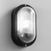 Immagine di Lampada Parete Soffitto Ovale In Vetro Da Esterno IP54 Turtle Intec Light