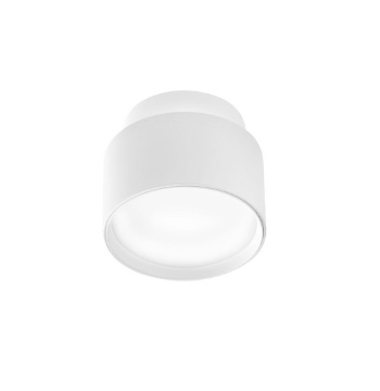 Immagine di Lampada Da Soffitto 9cm Doppia Emissione Led 3000K Gea