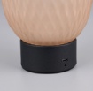 Immagine di Lampada Led Wireless Ricaricabile Vetro Colorato Ovale Da Comodino Facette Trio