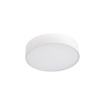 Immagine di Plafoniera Rotonda Luminosa Gea Led 25w Con Funzione CCT 23 cm